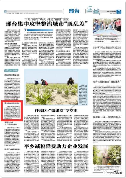 小猫钓鱼游戏龙王版有船