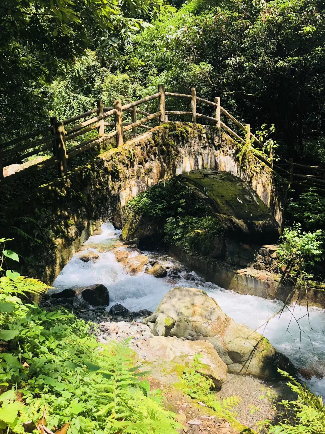妙鸭相机app下载官网